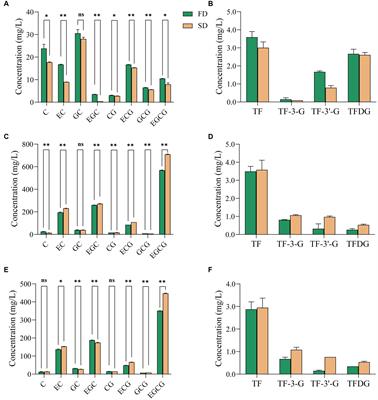 Widely targeted metabolomics reveals the effect of different raw materials and drying methods on the quality of instant tea